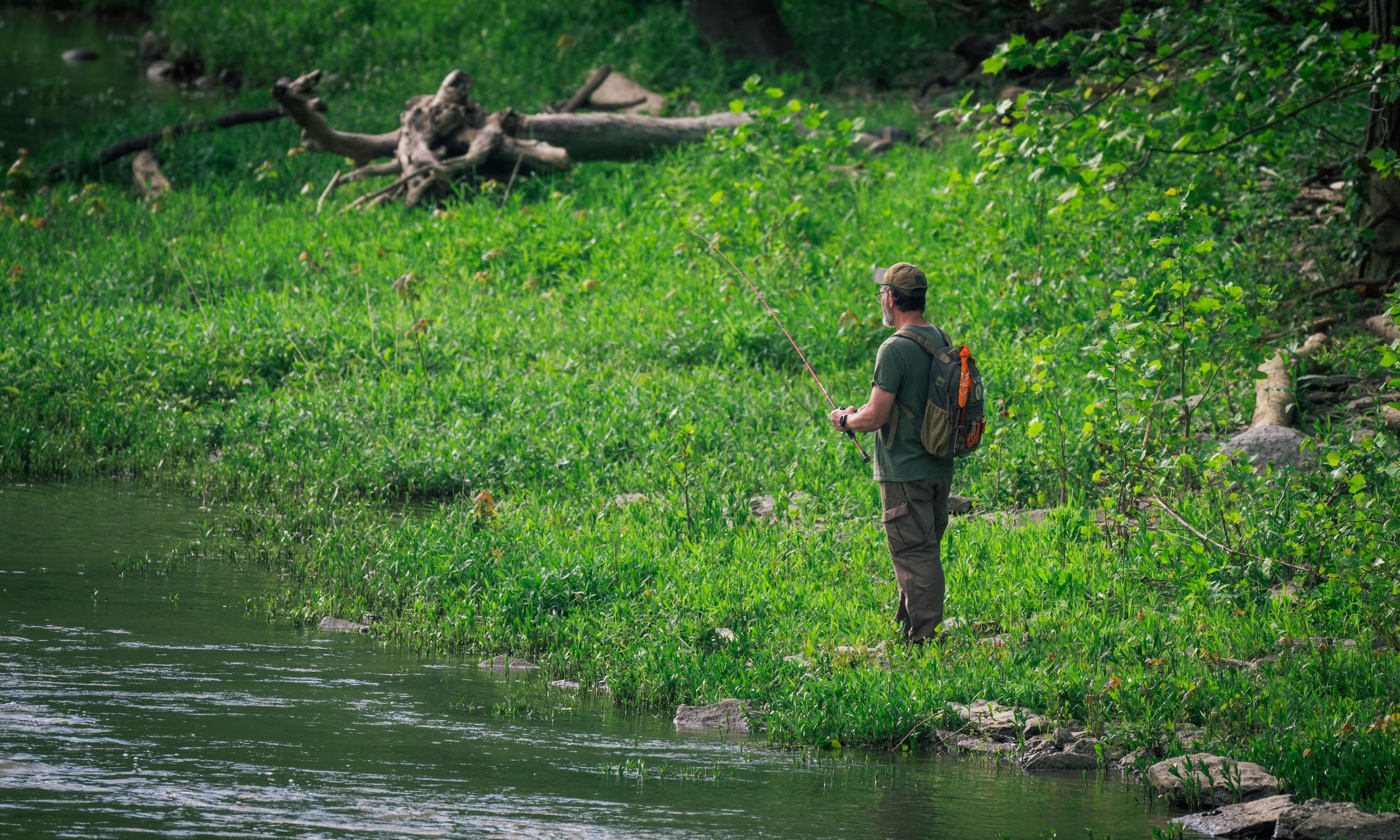 Angler casting from a grassy riverbank in summer